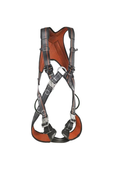 asset_image