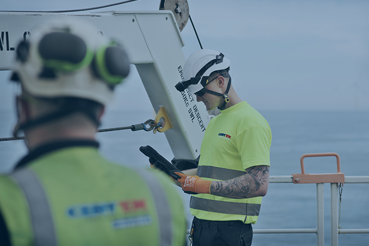 Davit & Overhead Cranes Image