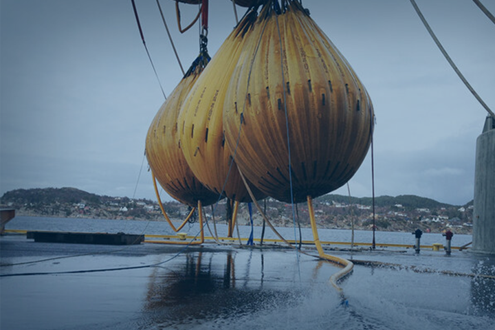 Load Testing Load Testing Services